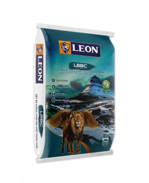 LEON: Bột bả chống thấm đặc biệt ngoại thất